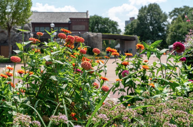 flowers in front of Pepper Family Wildlife Center